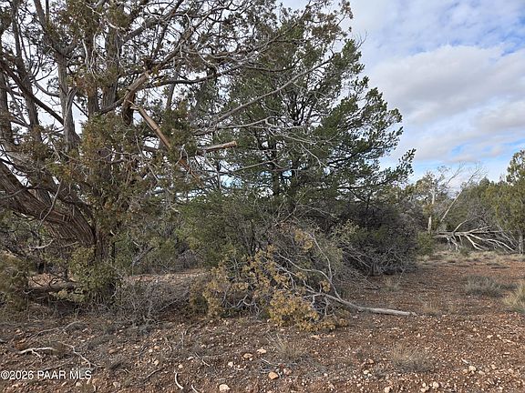 5th image of 446 Arizona Rd