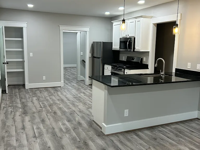 Livingroom and kitchen area.