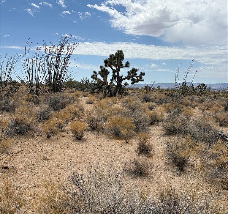 1st image of 244-08-203 Organ Pipe Pl