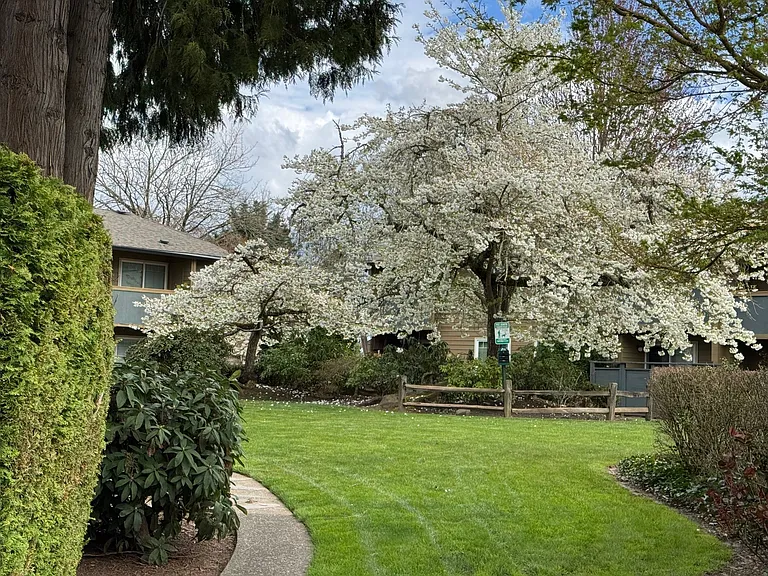 Crescent Ridge — Photo 13