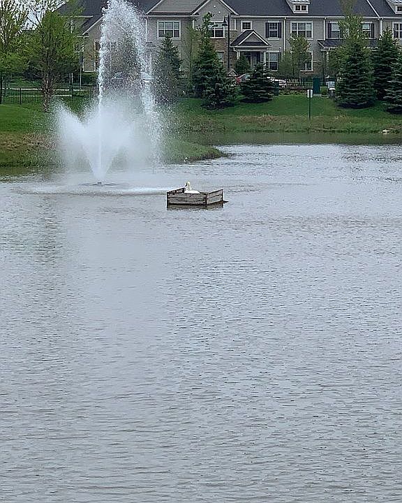 1st image of 3093 Valcour Dr