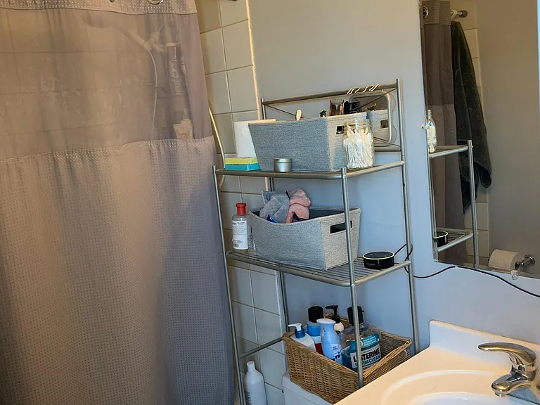 537 N Ashland Ave #3R — Photo 6