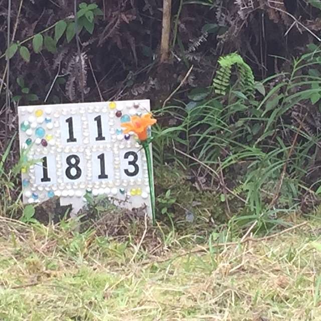 1st image of 11-1813 Maile Road