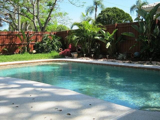 Pool and landscaping