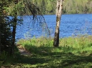 Waterlilly Ln, Watersmeet, MI 49969