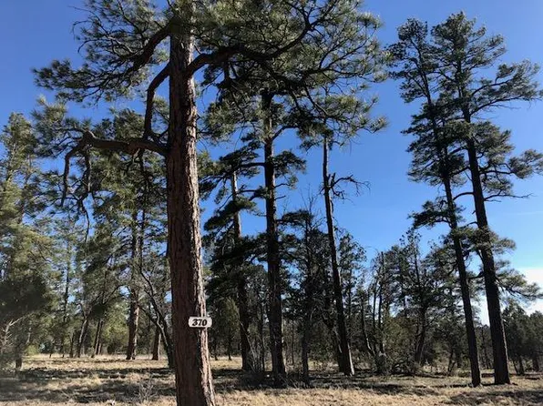 4534 Durango Dr, Happy Jack, AZ 86024