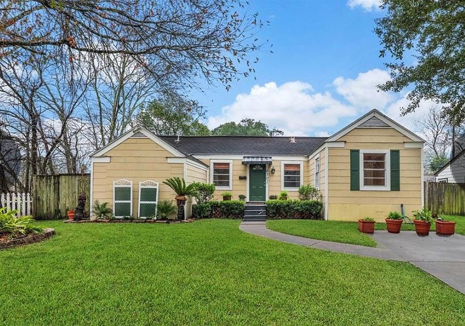 Large, mature red oak tree to the left and two mature oak trees to the right of the driveway