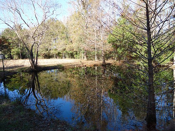Back of property pond view
