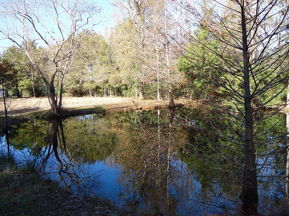 Back of property pond view