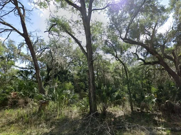 8949 N Valentine Ter, Crystal River, FL 34428