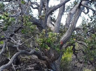 Tree Fern Ln LOT 17, Captain Cook, HI 96704