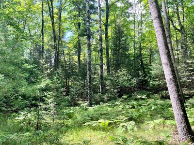 Knuth Ln, Eagle River, WI, 54521