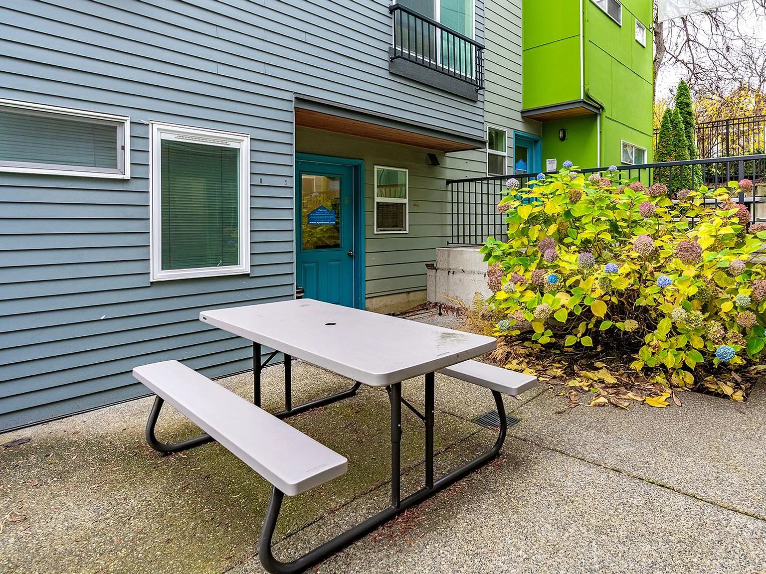 Videre - Courtyard Studios on Cap Hill! — Photo 4