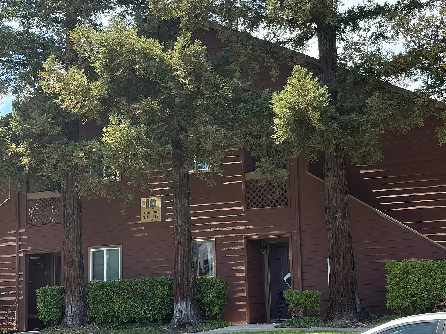 1 bed, 658 sqft, $2,800 — Photo 2