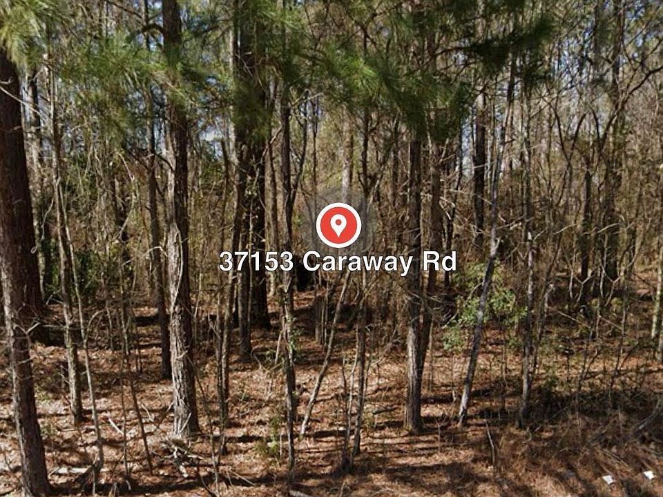 2nd image of 37153 Caraway Rd