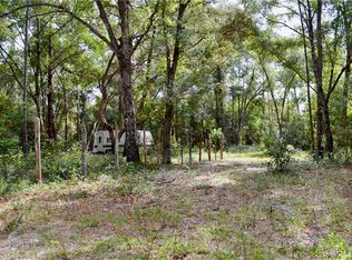 407 Raulerson Rd, Seville, FL 32190