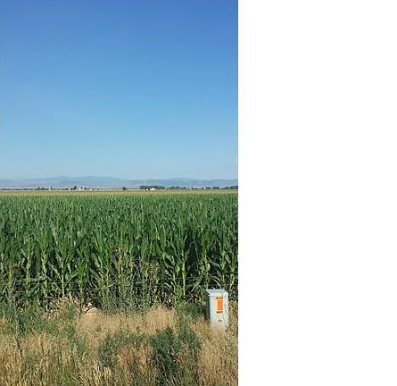 5th image of 34751 State Highway 257