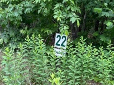 22 Creekside Dr, Ellijay, GA, 30540