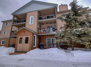 107 Peaks View Ct #323, Breckenridge, CO 80424