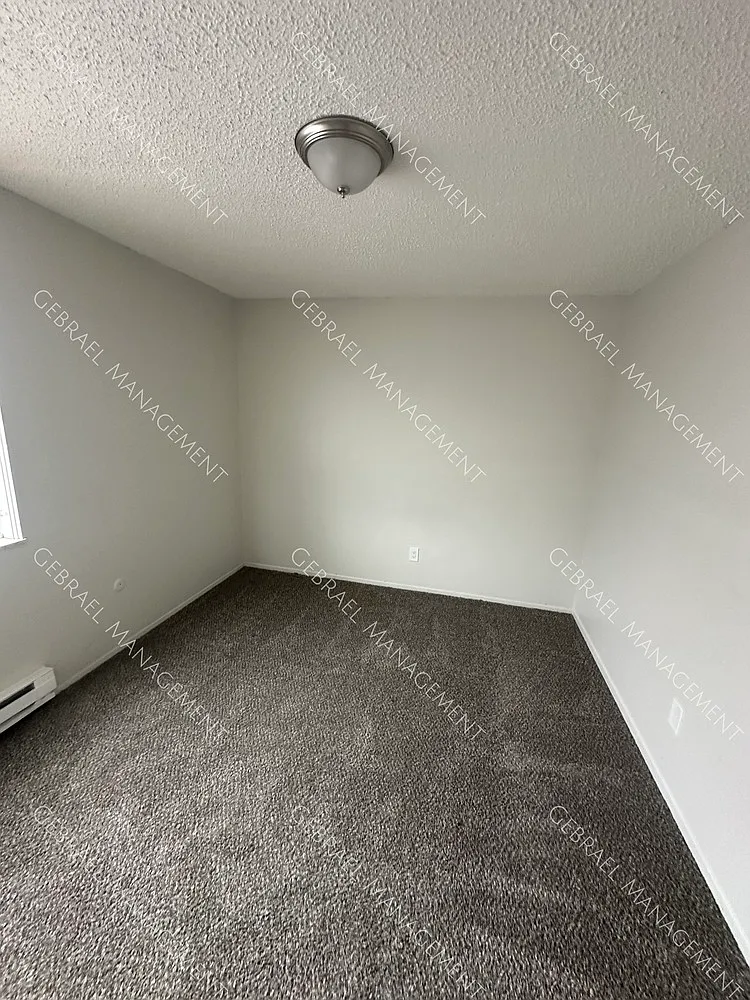 Brickwood NEW — Photo 3