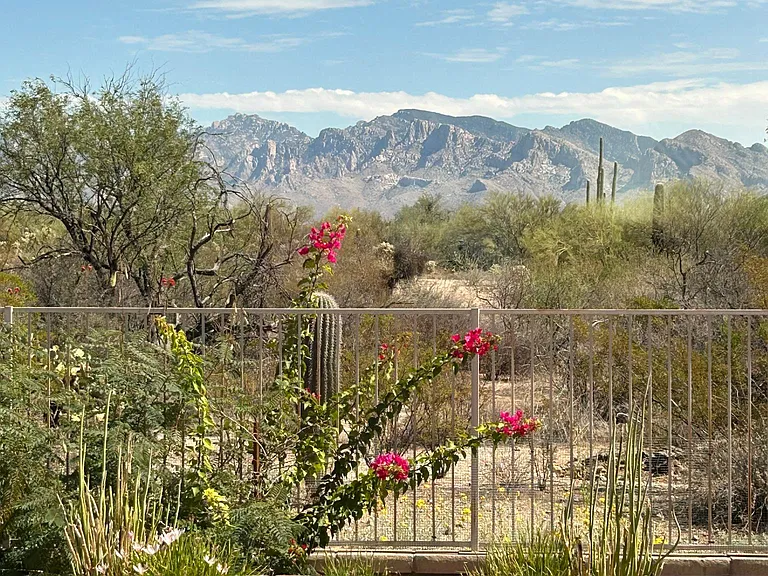 11556 N Adobe Village Pl — Photo 23