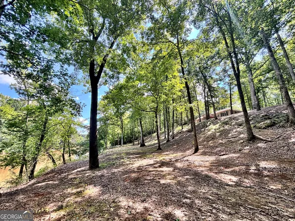 8502 S 19th Hwy, Culloden, GA 31016