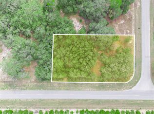 2859 W County Line Rd #10674, Avon Park, FL 33825