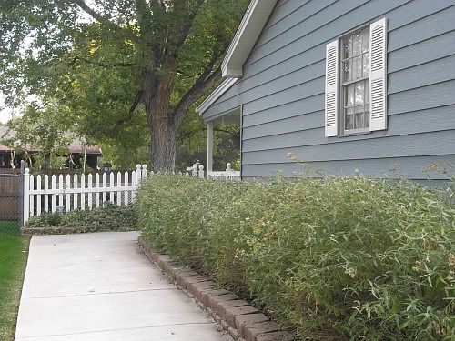 5th image of 2160 S Allison Ct