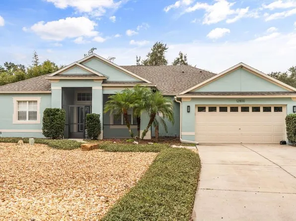 12800 Scout Ct, Grand Island, FL 32735