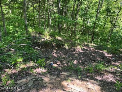 1745 Carters Rd #0, Lockport, KY, 40036