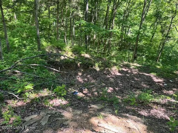 1745 Carters Rd #0, Lockport, KY 40036