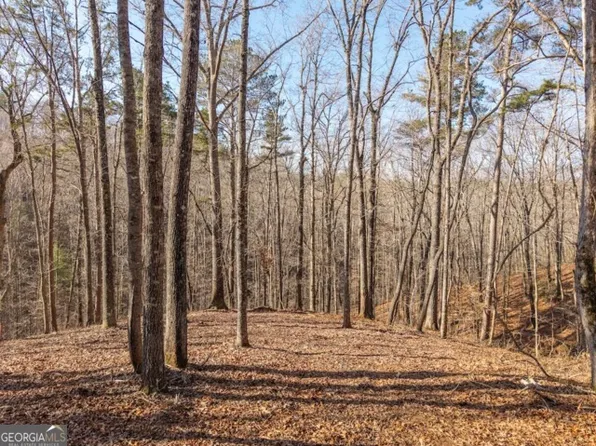 1884 Finale St, Talking Rock, GA 30175