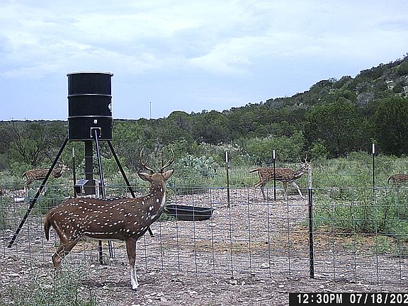 4th image of LOT 2 Dusty Rose Ranch East LOT 2