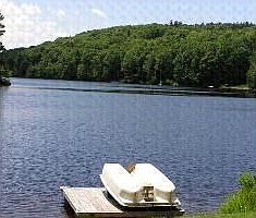 your back yard
