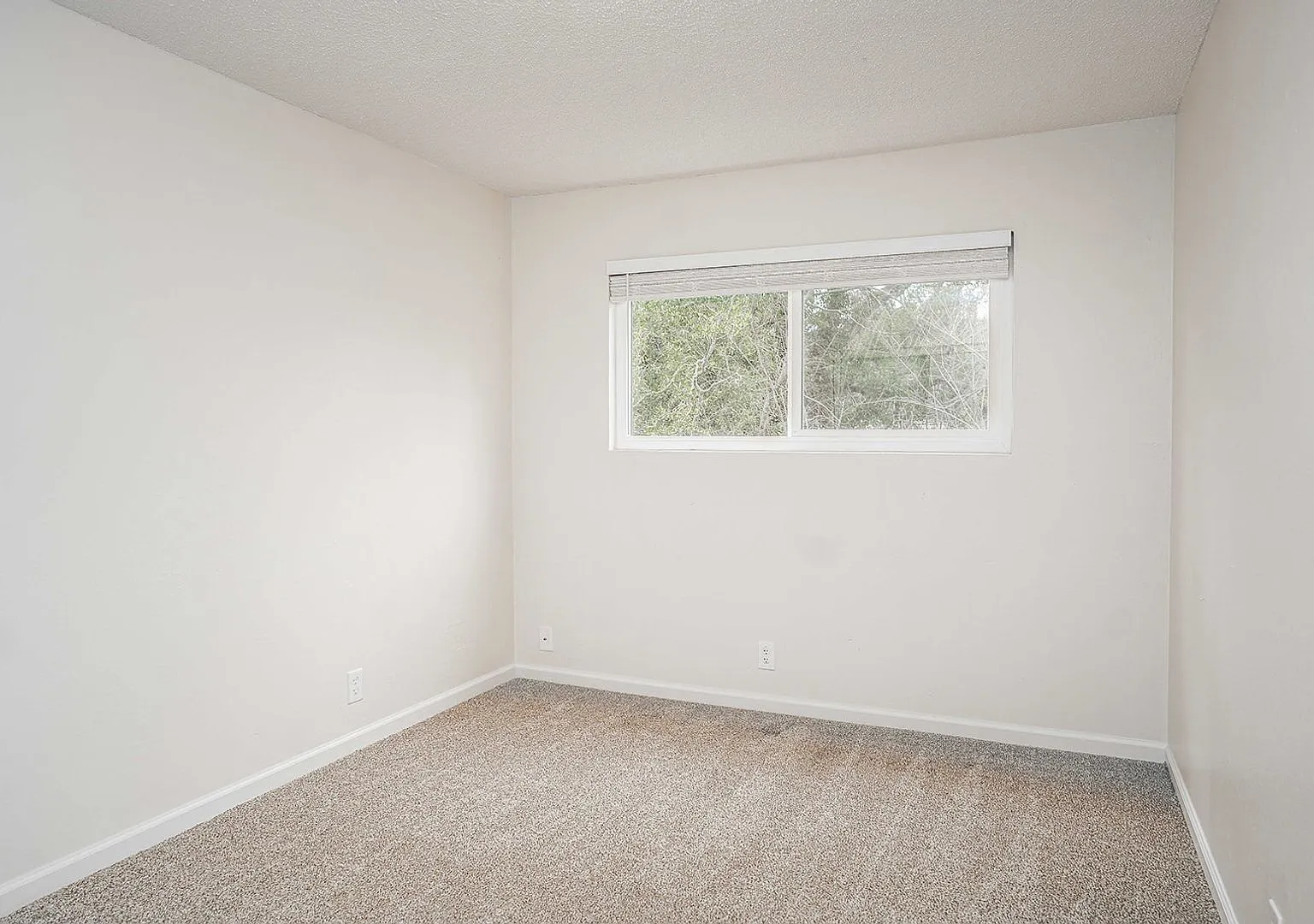 6131 Montecito Boulevard — Photo 3