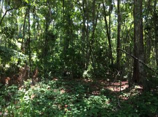 127 Pocahontas Rd, Florahome, FL 32140