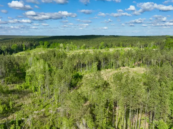 1 Airy Rd, Ackerman, MS 39735