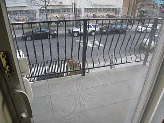 Rented by Alexiou Realty