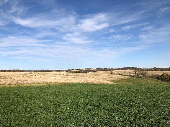4th image of 98.33 / Acres