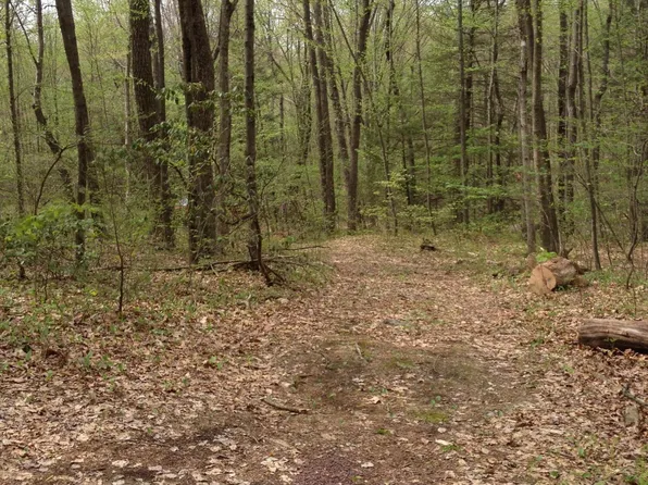 Adj Tomko, Wilkes Barre, PA 18706