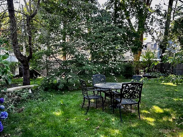 Back yard