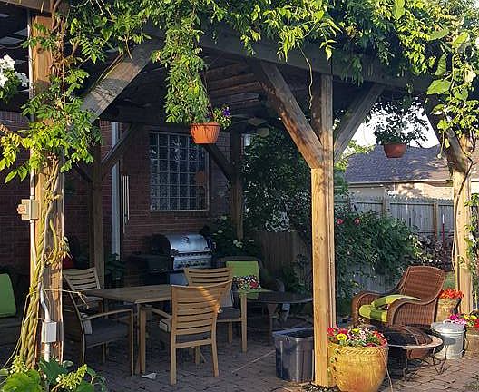 vine-covered pergola 