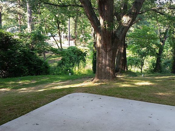 springtime backyard view