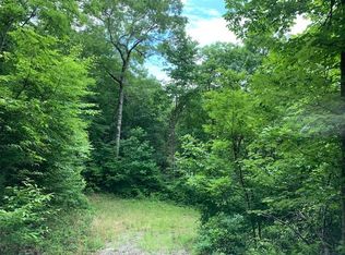 Tbd Little Choga Road Nantahala, Topton, NC 28781