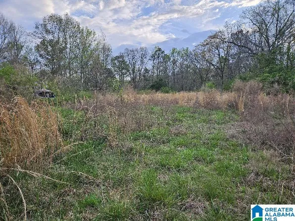 2158 County Road 532 #0, Hanceville, AL 35077