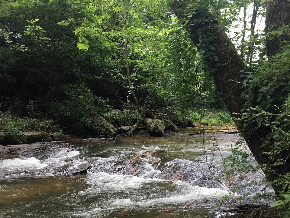 210 Lower Glady Fork Rd