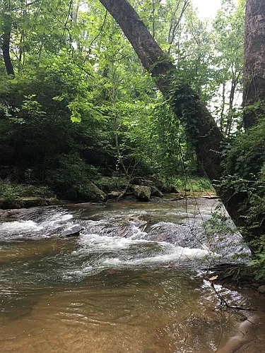 210 Lower Glady Fork Rd Photo 1