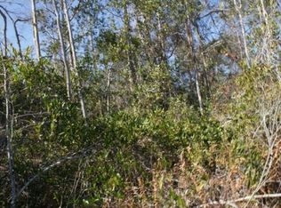 20344 Ralston St, Orlando, FL 32833