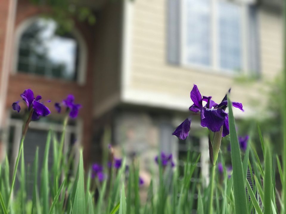1st image of 39881 Woodside Dr N