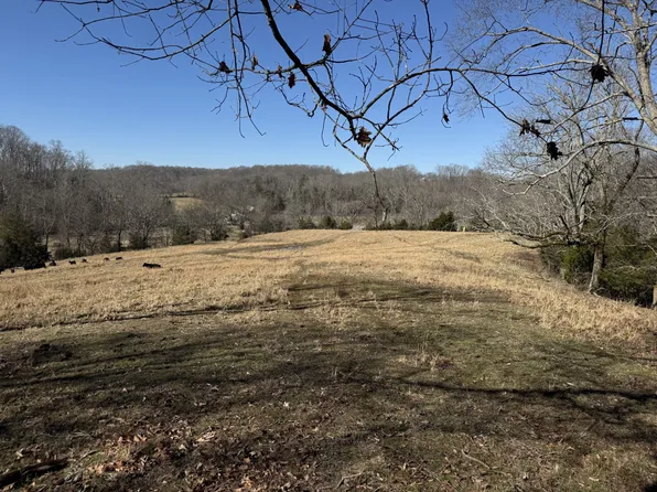 4 N Lick Creek Rd Lot 4, Franklin, TN 37064